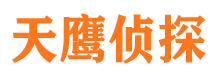 东海市调查公司